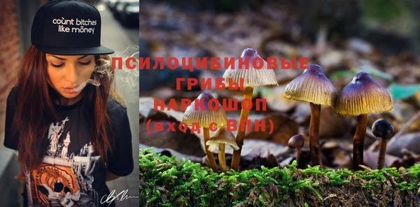 наркотики Богородск