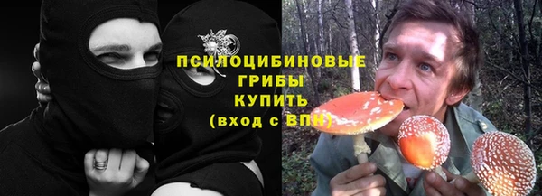 mdma Богданович